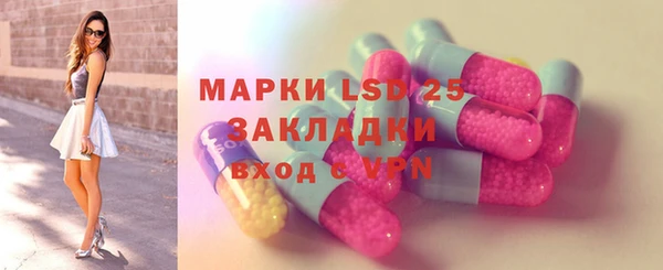 PSILOCYBIN Михайлов
