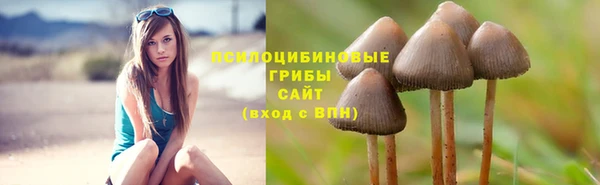 PSILOCYBIN Михайлов