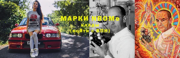PSILOCYBIN Михайлов