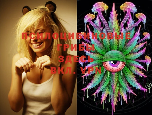 PSILOCYBIN Михайлов