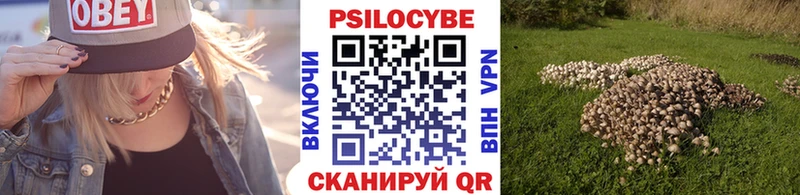 Галлюциногенные грибы Cubensis  Шебекино 